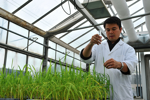 Plant breeding scientists like this one are featured in GENERA