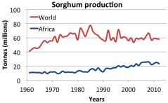 sorghum production