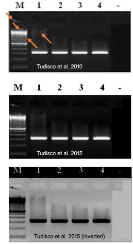 Tudisco-2010-2015-labeled