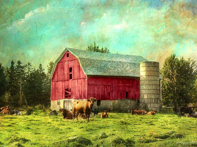 Little red barn. Photo of Woodchuck Farm by William Garrett, enhanced by Dianne Lacourciere using textures by Distressed Jewel.