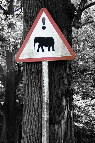 danger sign with elephant on it
