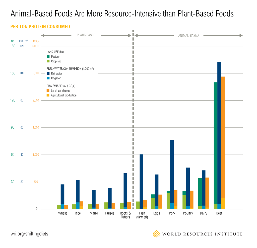 sustainability of animal and plant foods